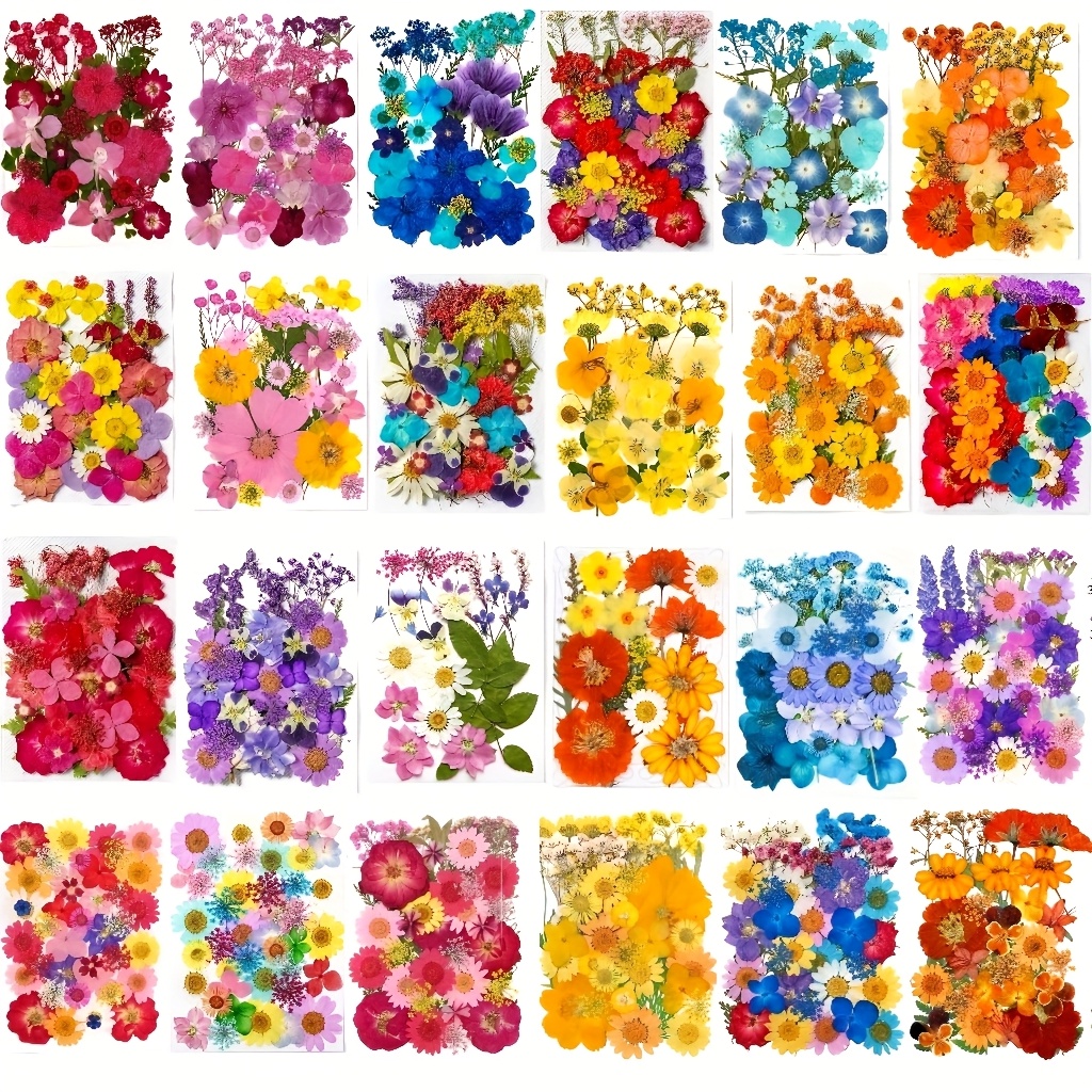 Nail Art Natural - 500pcs of Random Materials for Pressed