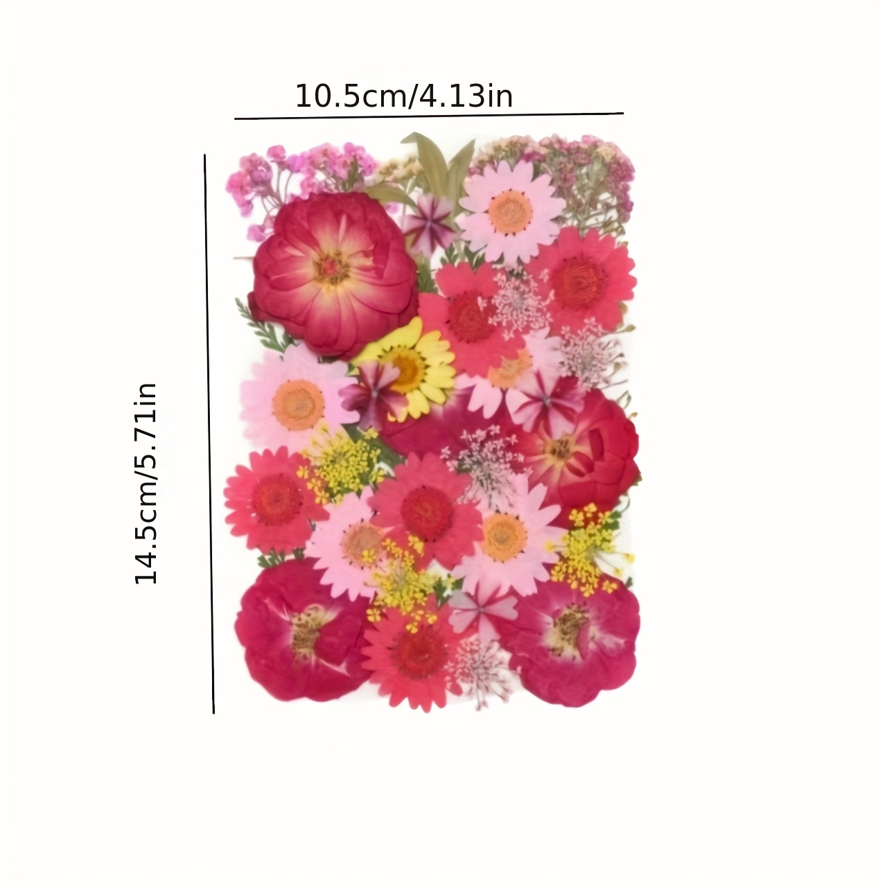500pcs of Random Materials for - Nail Art Natural incelemesi ve fiyatı