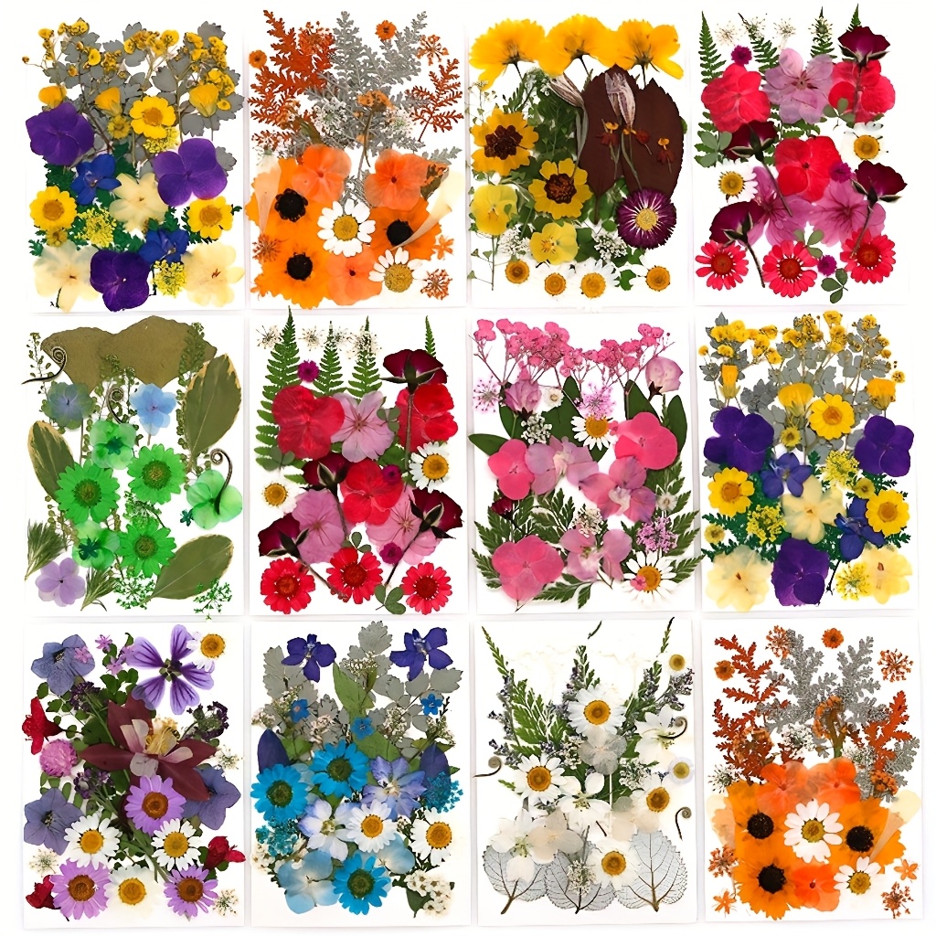 500pcs of Random Materials for - Nail Art Natural incelemesi ve fiyatı