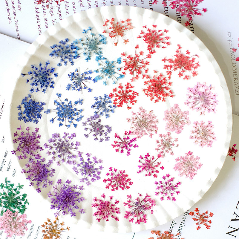 24pcs,2-2.5cm,nature Dyed Mini - Nail Art Natural incelemesi ve fiyatı