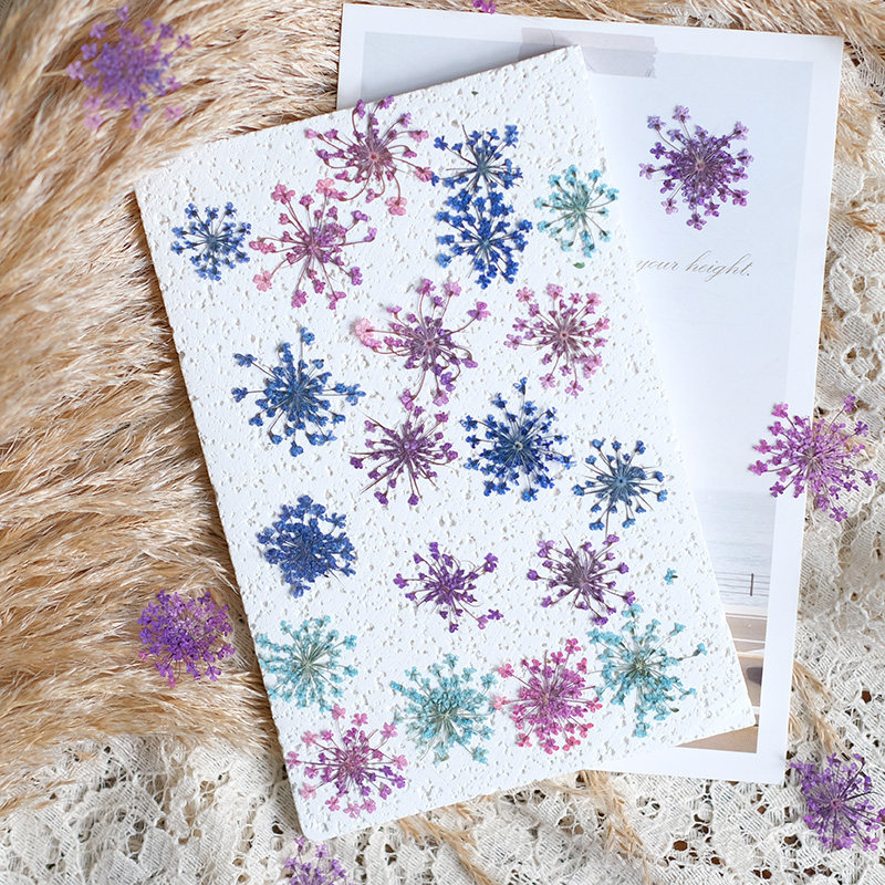 24pcs,2-2.5cm,nature Dyed Mini - Nail Art Natural incelemesi ve fiyatı