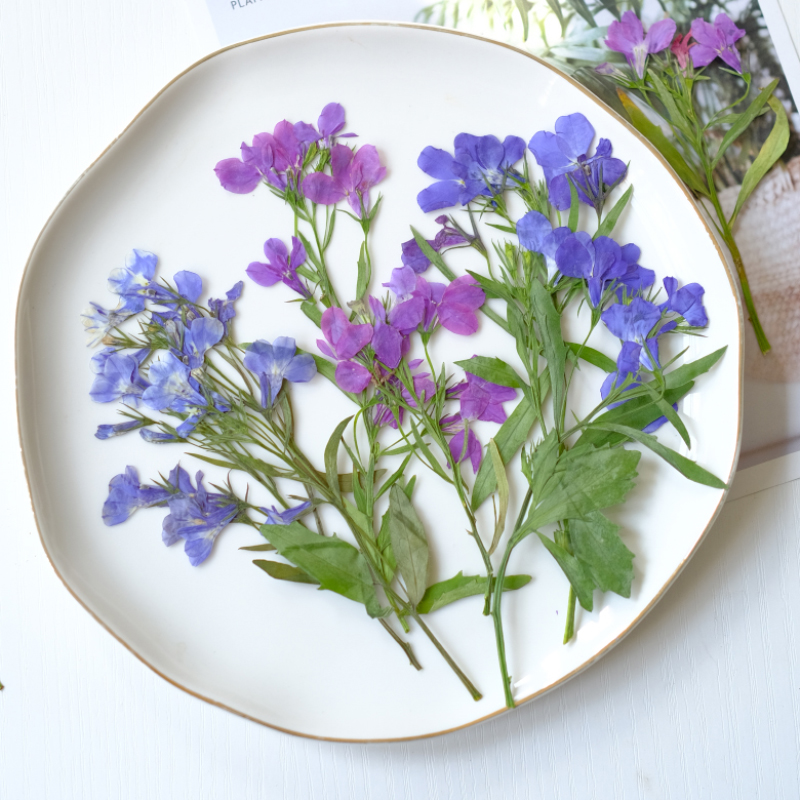 6pcs/8-13cm,nature Lobelia Eri - Nail Art Natural incelemesi ve fiyatı