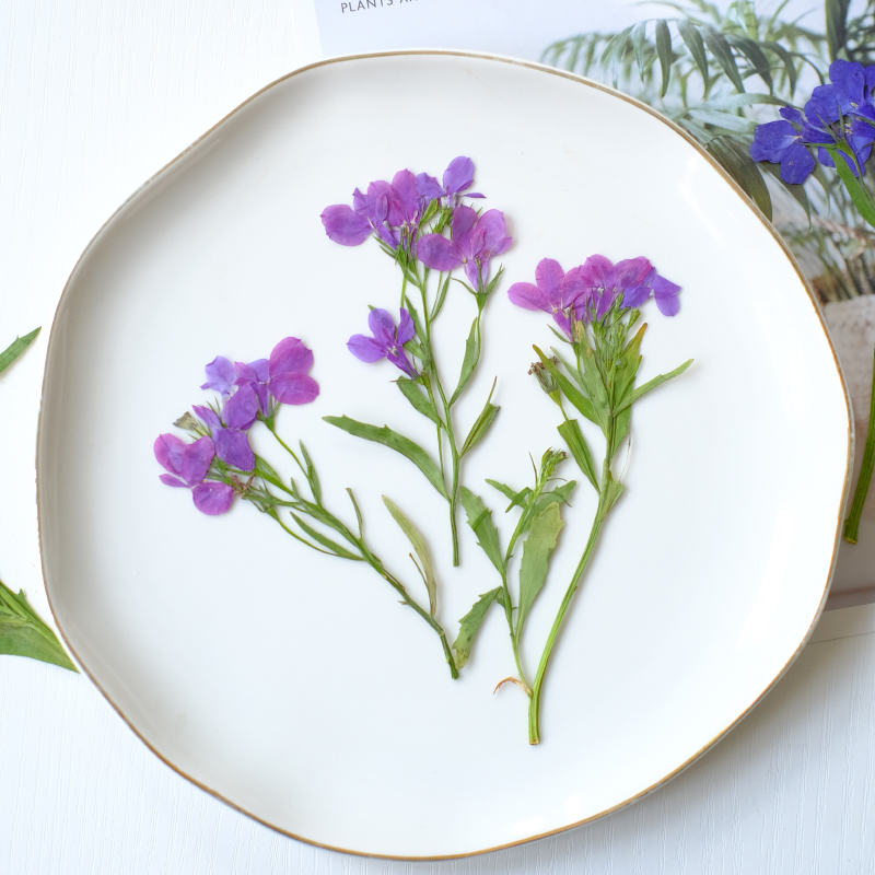 6pcs/8-13cm,nature Lobelia Eri - Nail Art Natural incelemesi ve fiyatı