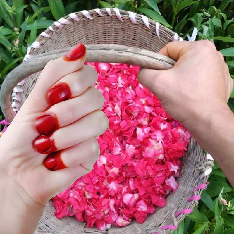 40g Henna Nail Dye Powder For  - Nail Art Natural incelemesi ve fiyatı